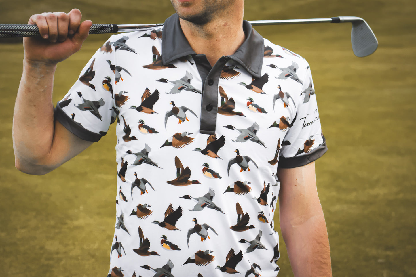 Ducks Polo